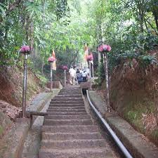 Hanoi Countryside Cycle Tour Tram Gian Thay Pagoda 1 Day